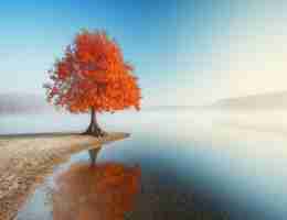 python编‌写﻿服﻿务‍