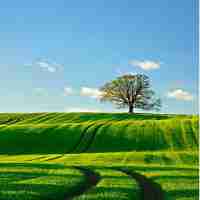 外﻿链‍设​置﻿方‌案‍怎‍么‌设‍置‍